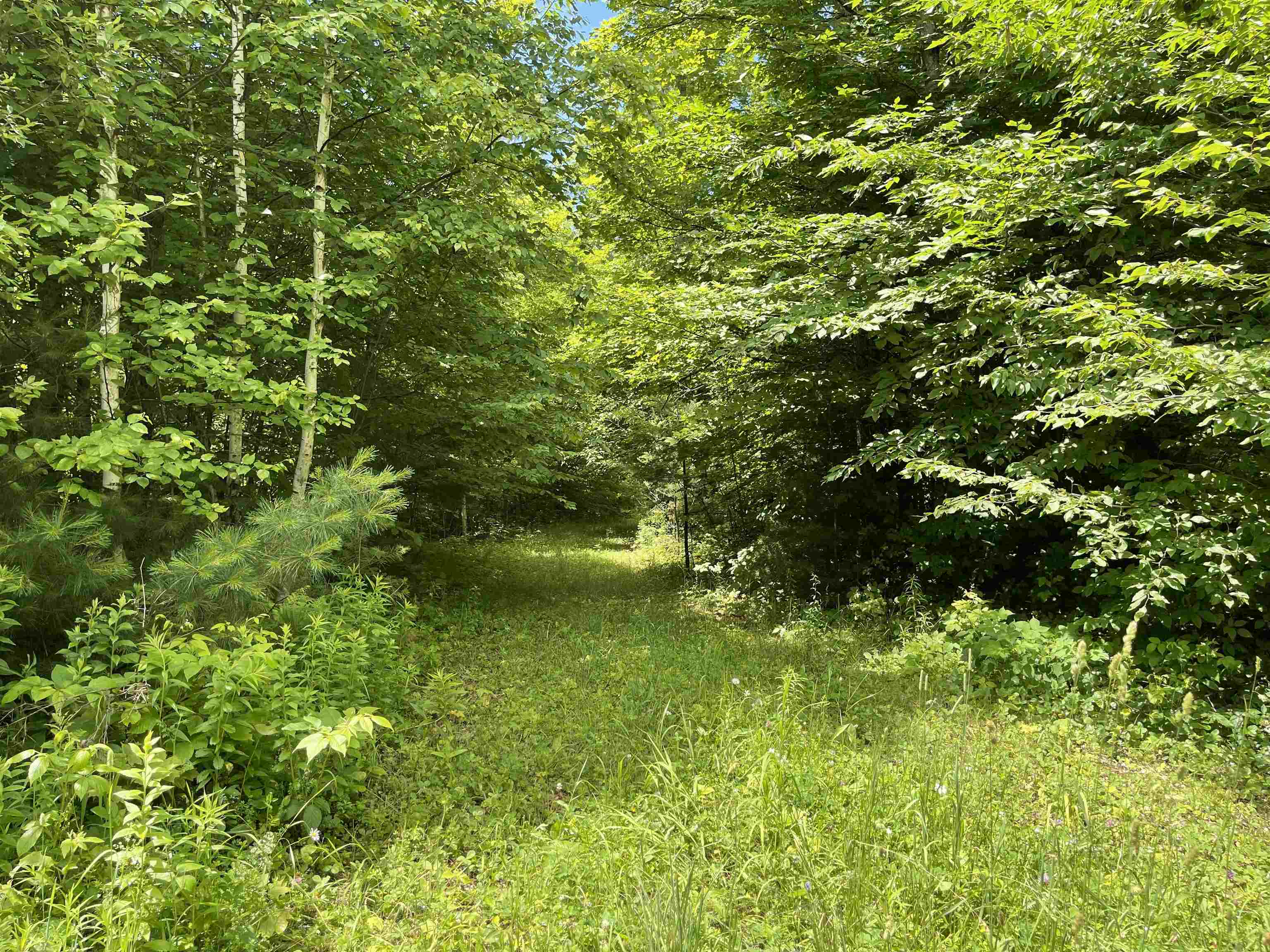 0 Goose Green Road Vershire, VT 05079 - Photo 9 of 15