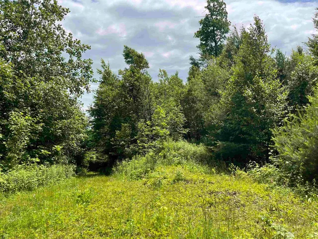 $165,000 | 0 Goose Green Road, Vershire, VT 05079