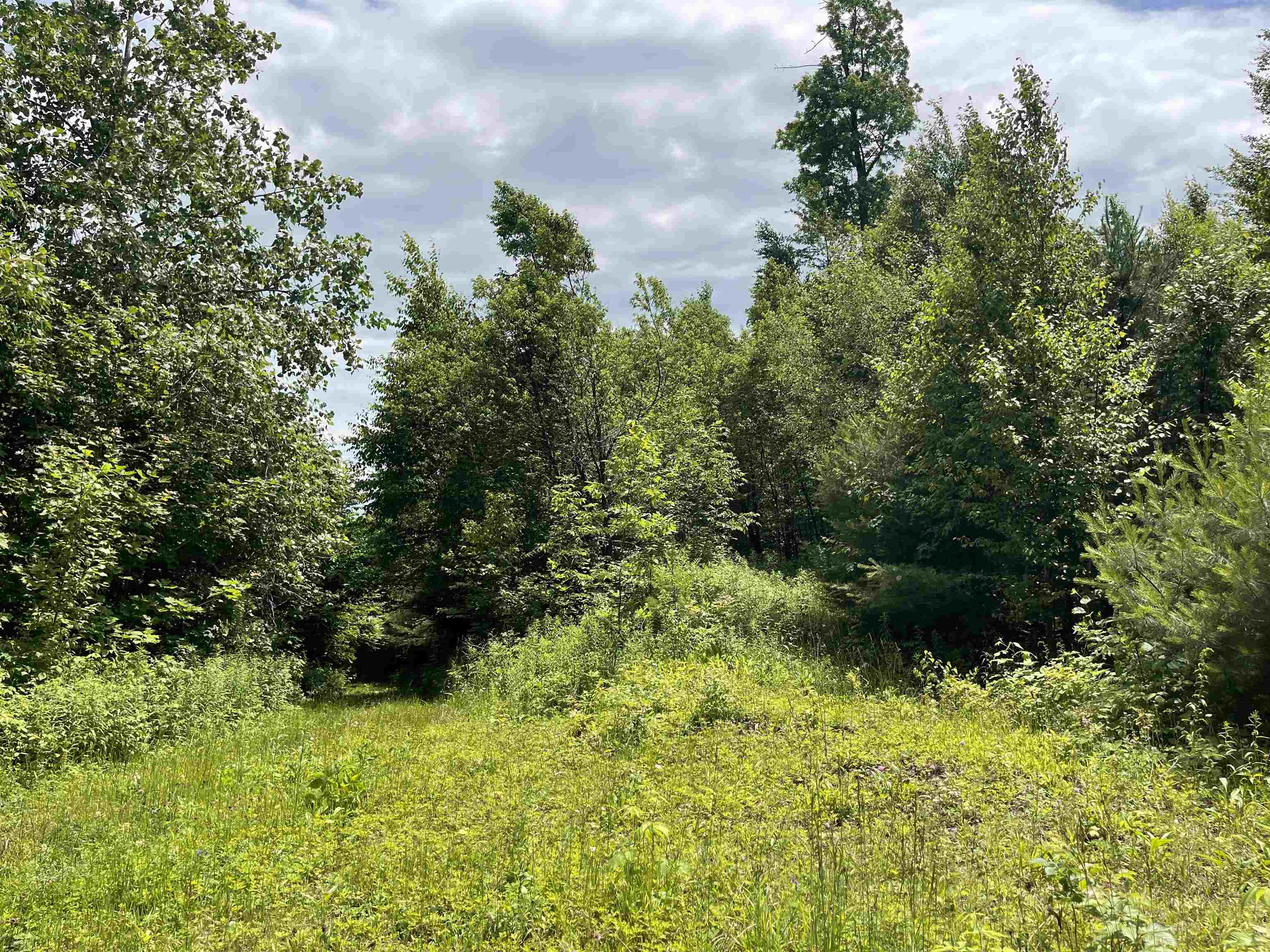 0 Goose Green Road Vershire, VT 05079 - Photo 10 of 15