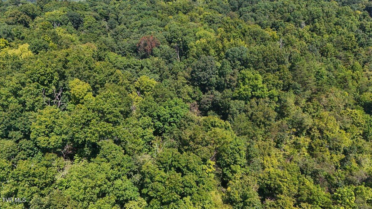 Tbd Huffman Road Piney Flats, TN 37686 - Photo 15 of 17 15-DJI_20260909124047_0137_D