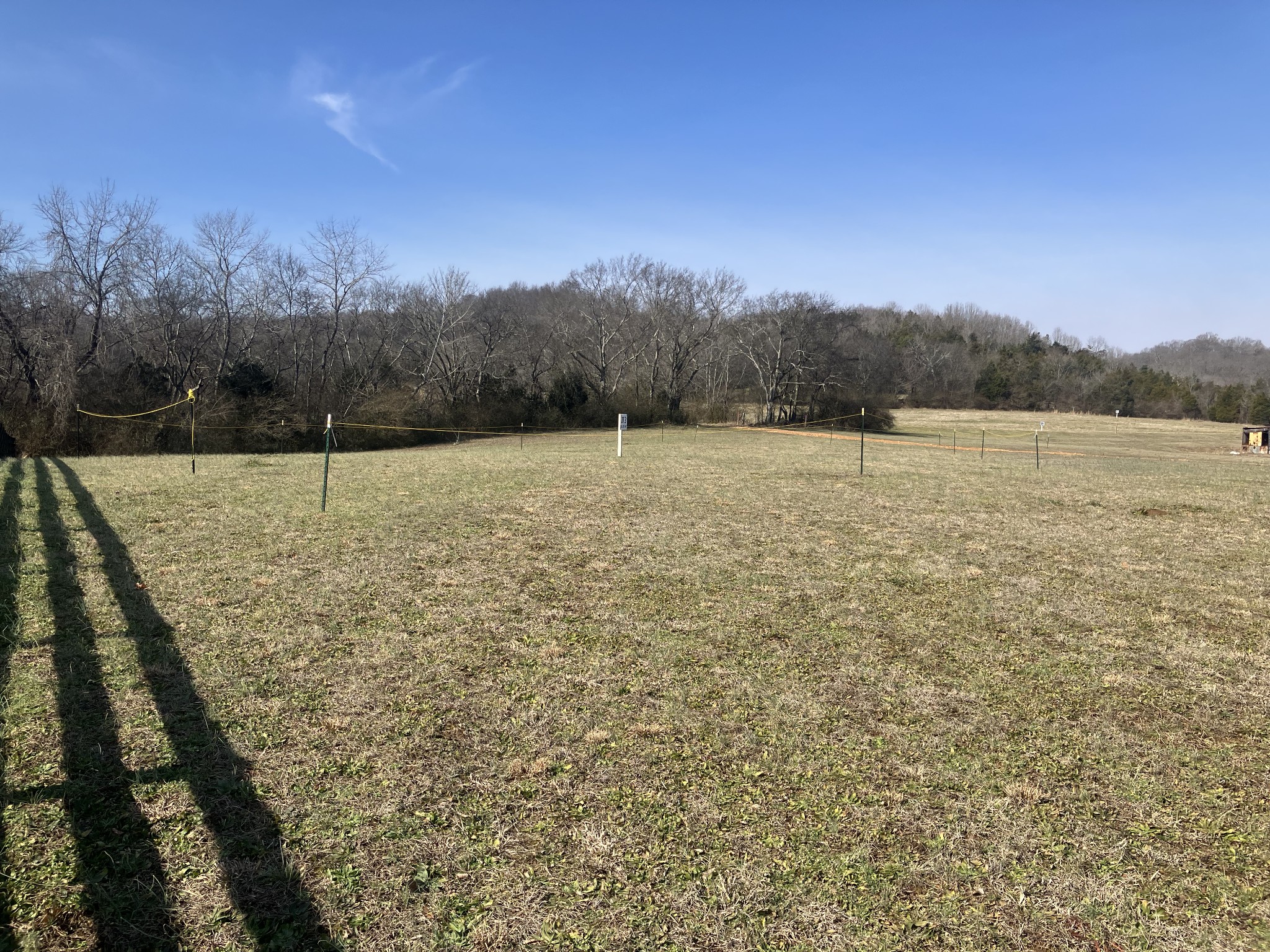 3341 Booker Ridge Road Mount Pleasant, TN 38474 - Photo 6 of 12