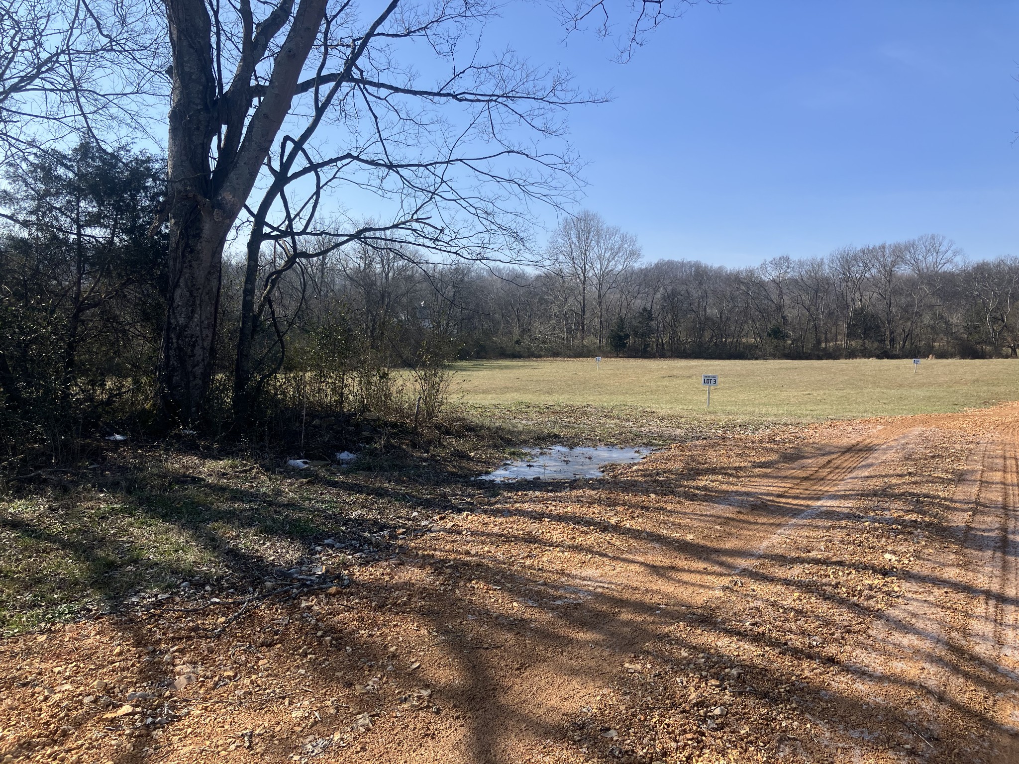 3341 Booker Ridge Road Mount Pleasant, TN 38474 - Photo 9 of 12