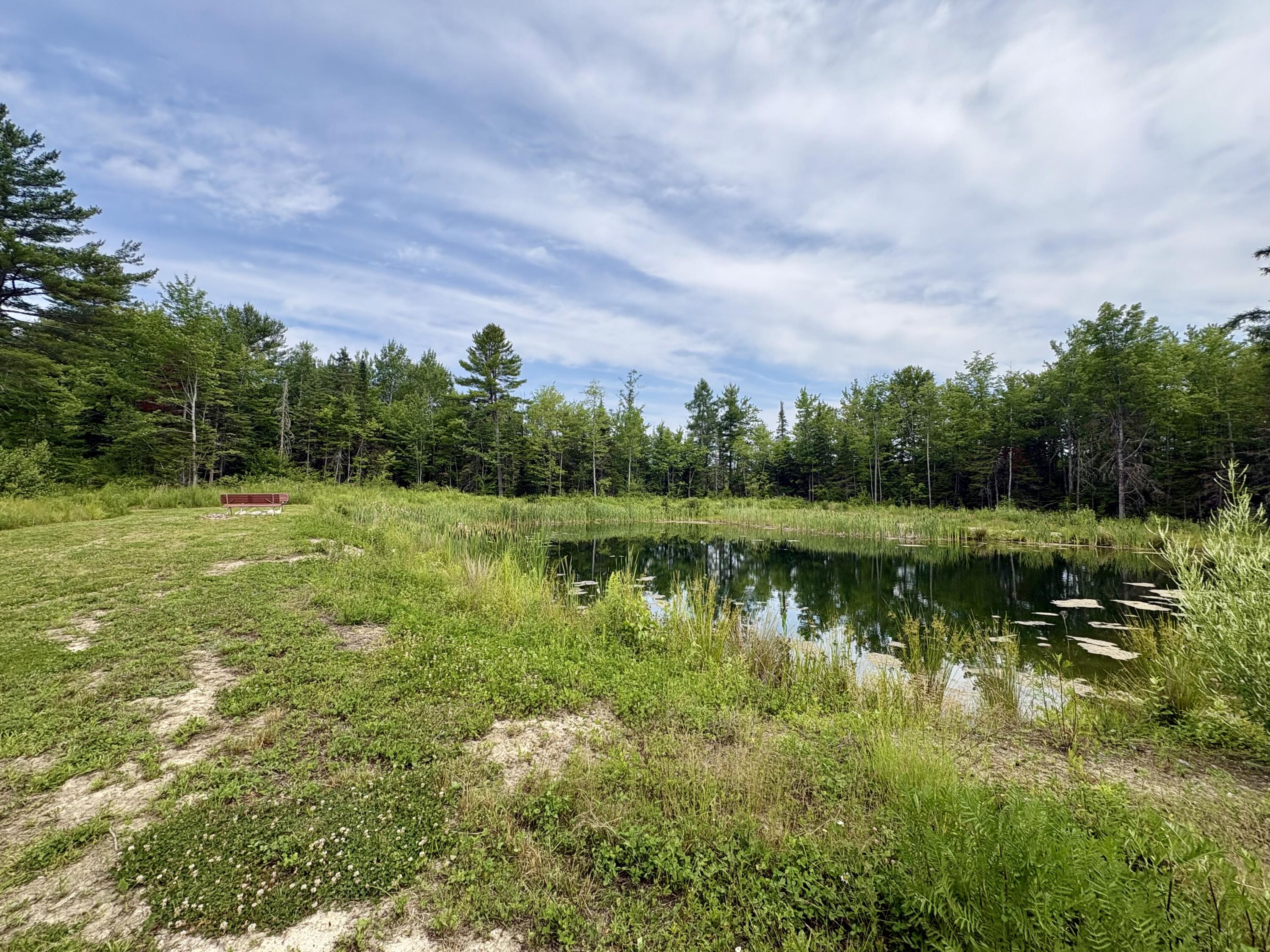 62 Old Keene Road Chester, ME 04457 - Photo 40 of 57 IMG_5125