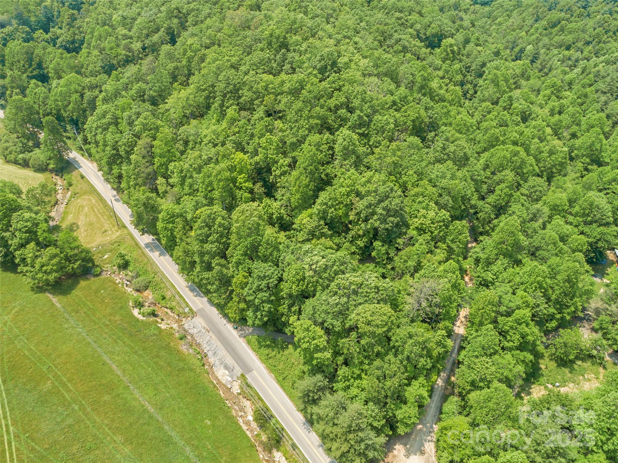 63 Chestnut Hill Road Black Mountain, NC 28711 - Photo 12 of 16 a view of a yard with a tree