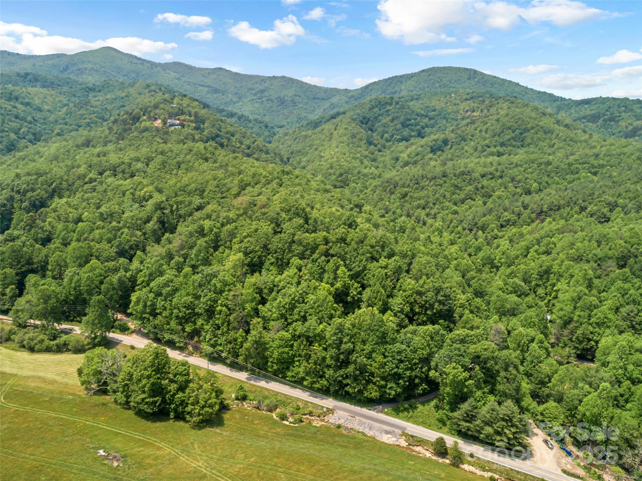 63 Chestnut Hill Road Black Mountain, NC 28711 - Photo 16 of 16 a view of a green field with lots of bushes