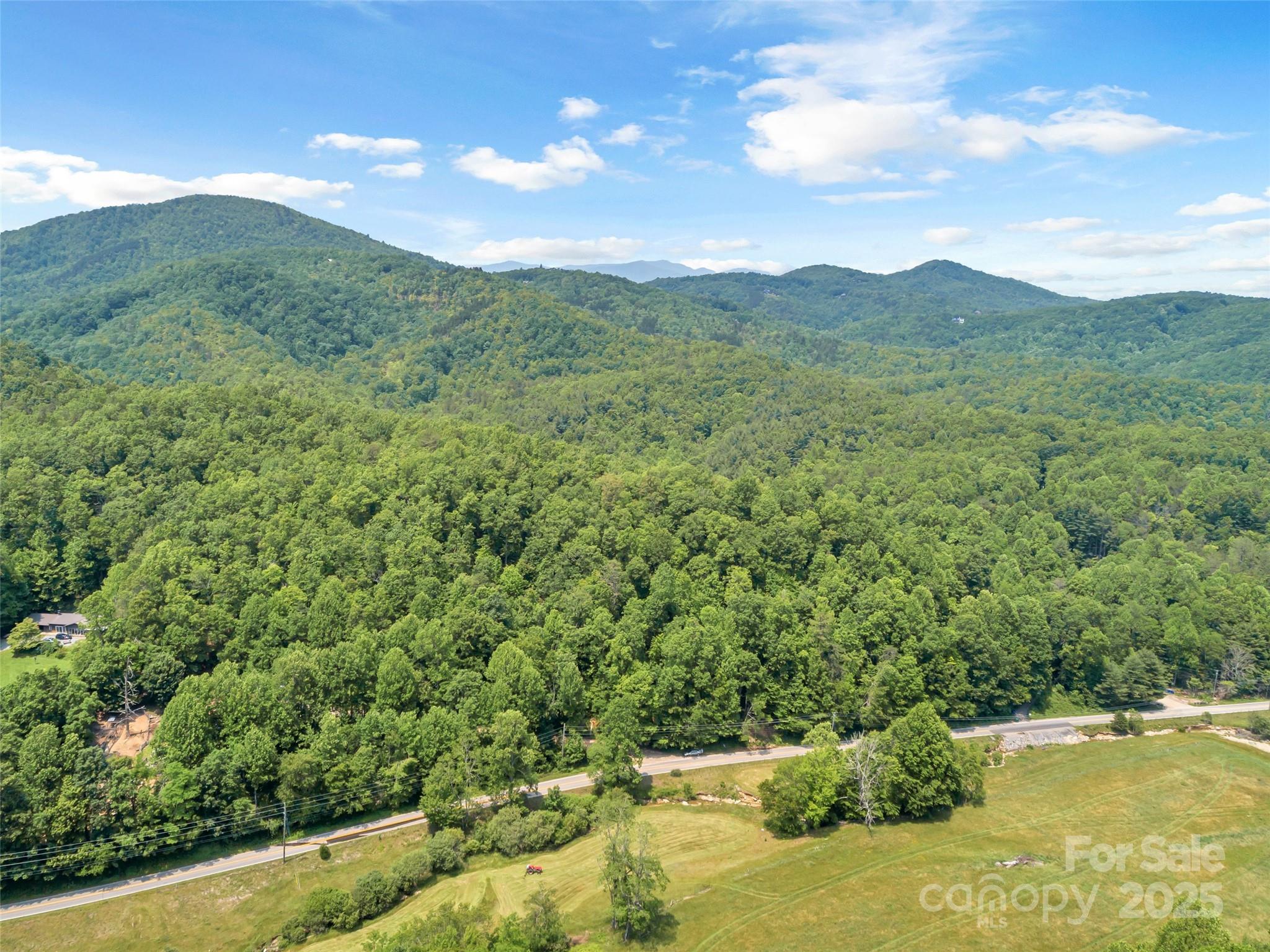 63 Chestnut Hill Road Black Mountain, NC 28711 - Photo 4 of 16 a view of a lush green hillside and a houses