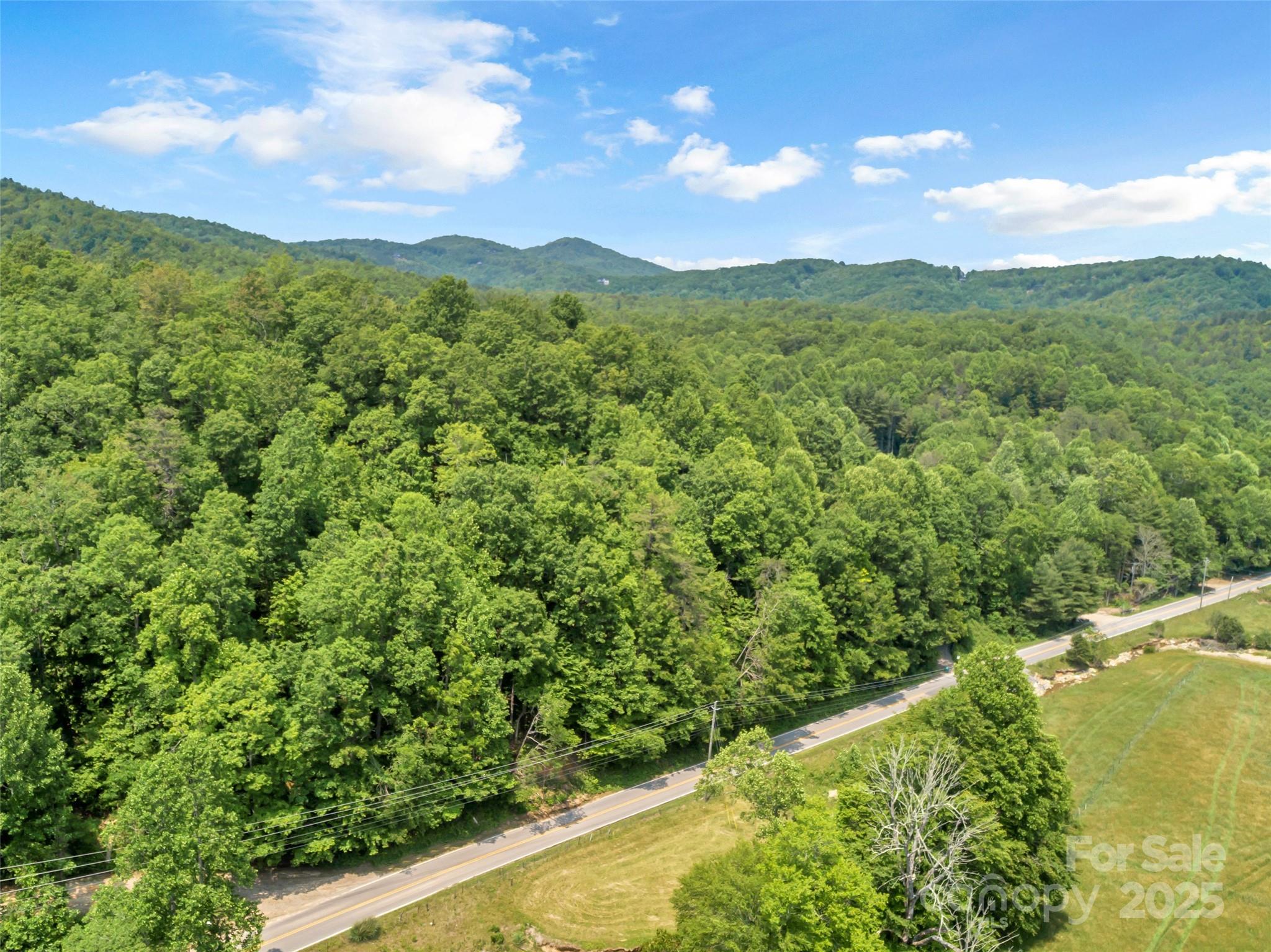 63 Chestnut Hill Road Black Mountain, NC 28711 - Photo 5 of 16 a view of a lush green forest with mountains in the background