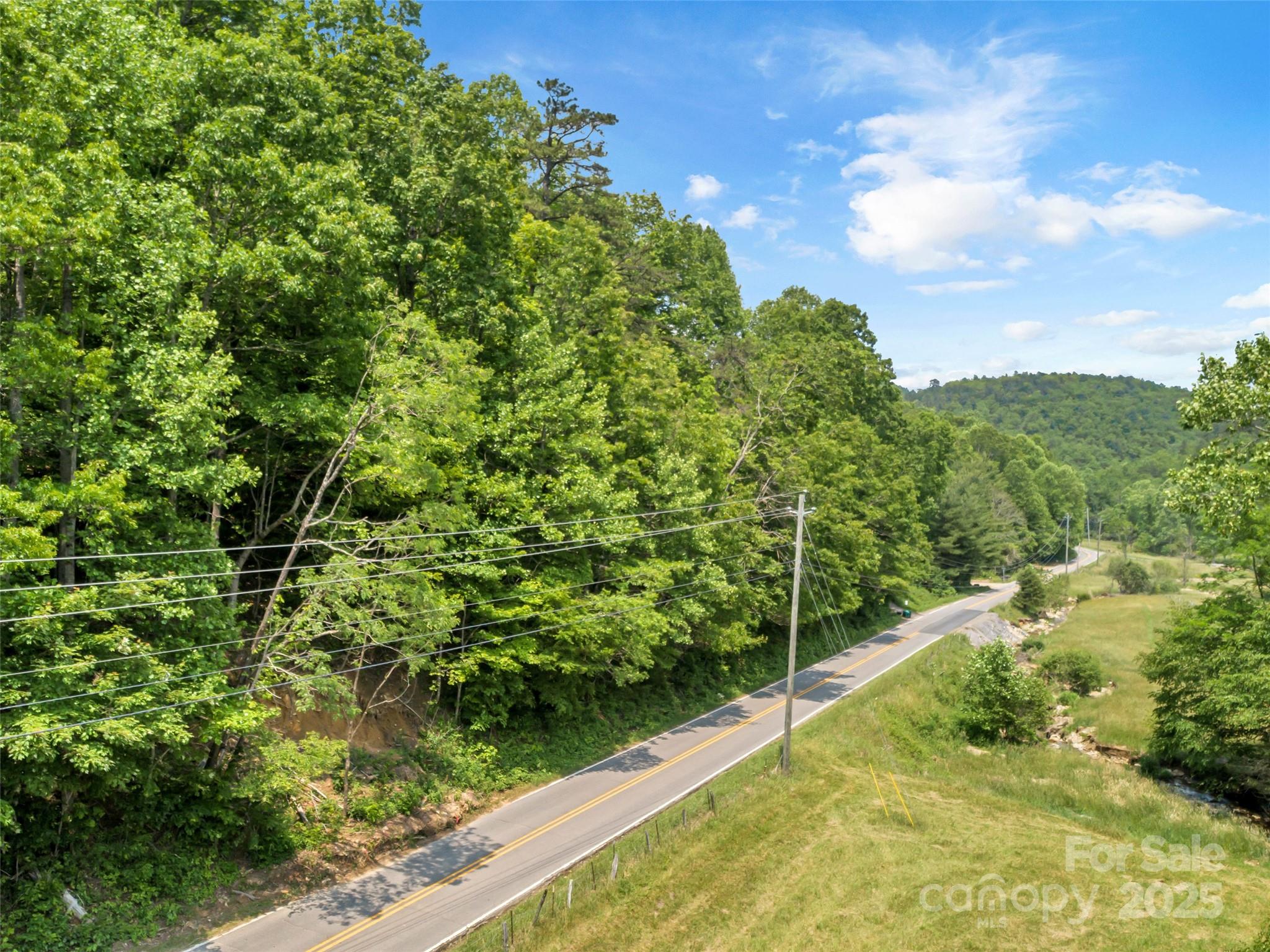 63 Chestnut Hill Road Black Mountain, NC 28711 - Photo 6 of 16 a view of a backyard