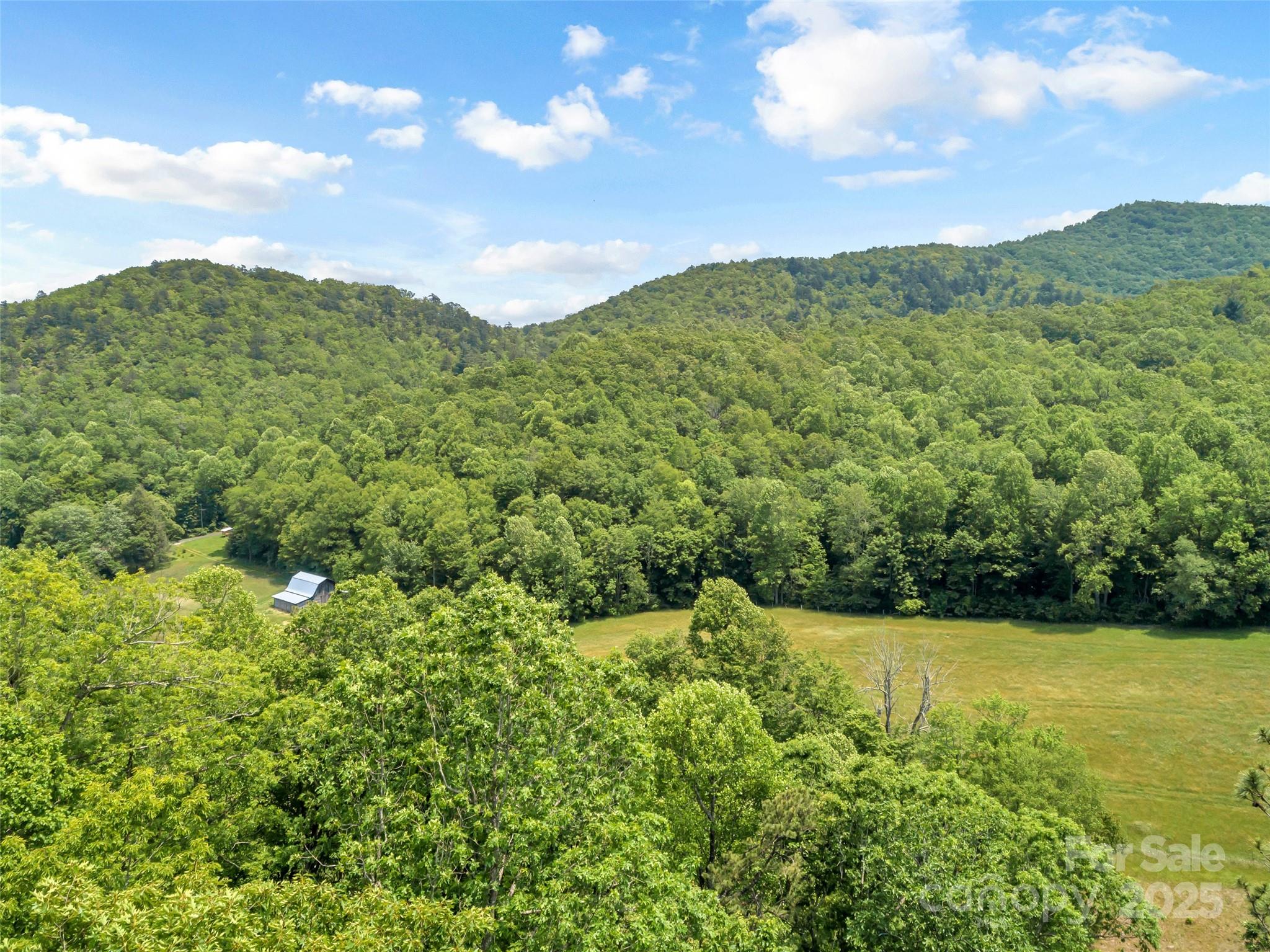 63 Chestnut Hill Road Black Mountain, NC 28711 - Photo 7 of 16 a view of a city with lush green forest