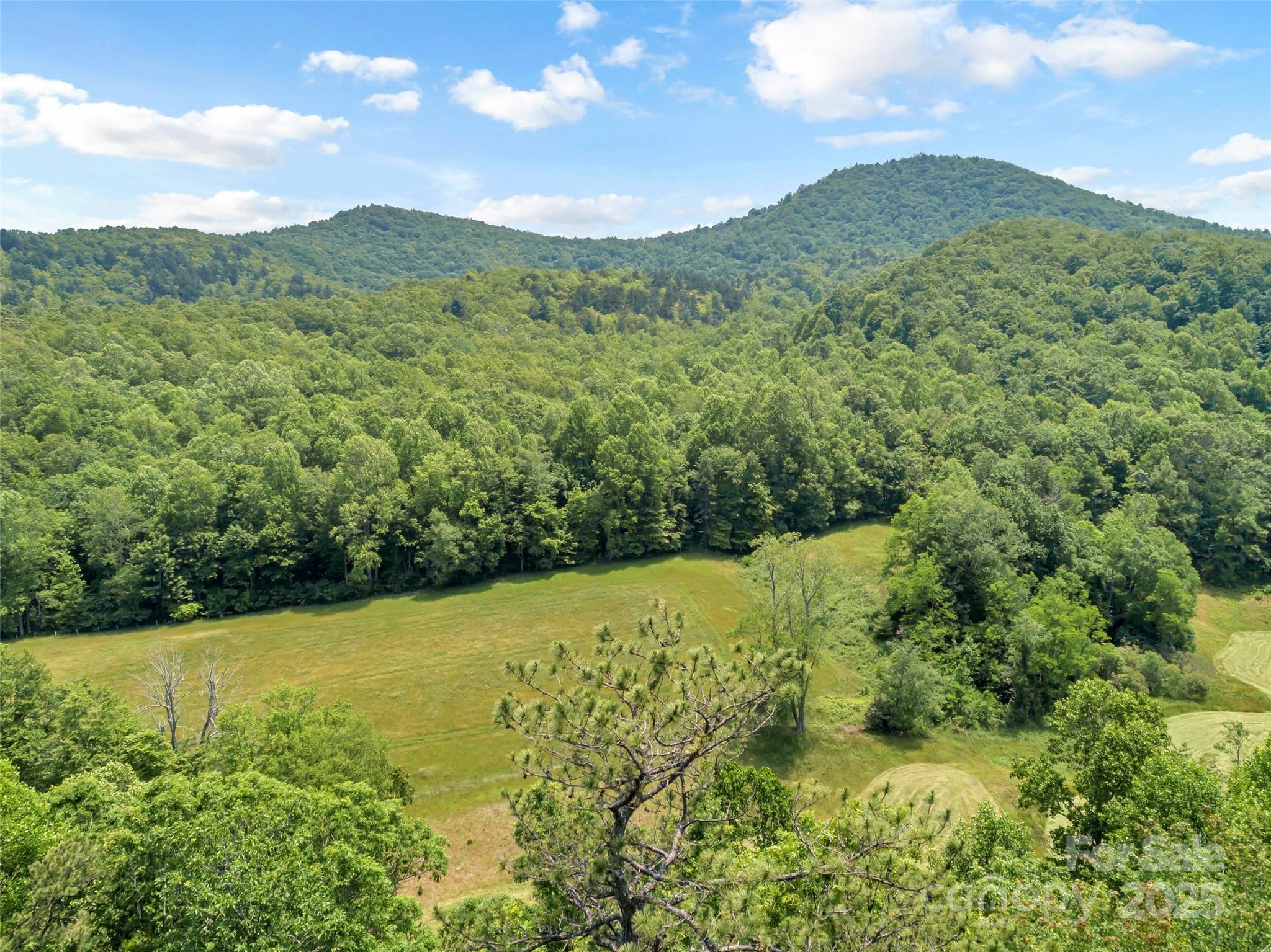 63 Chestnut Hill Road Black Mountain, NC 28711 - Photo 8 of 16 a view of a yard with a mountain