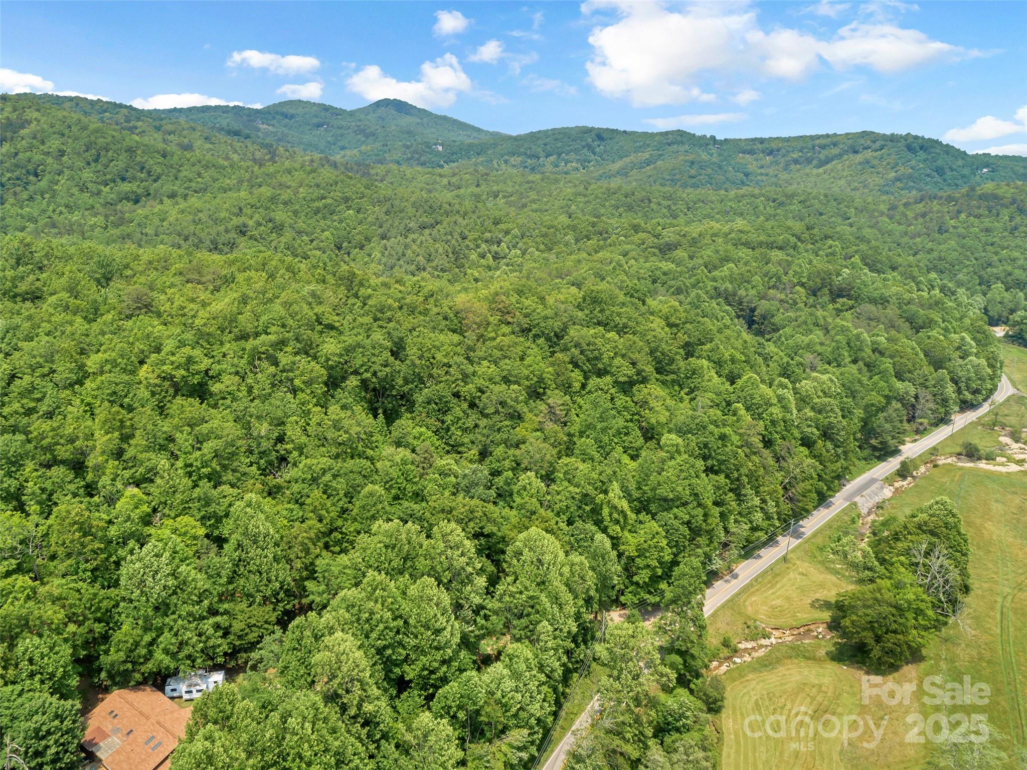 63 Chestnut Hill Road Black Mountain, NC 28711 - Photo 10 of 16 a view of a lush green outdoor space with a lake view
