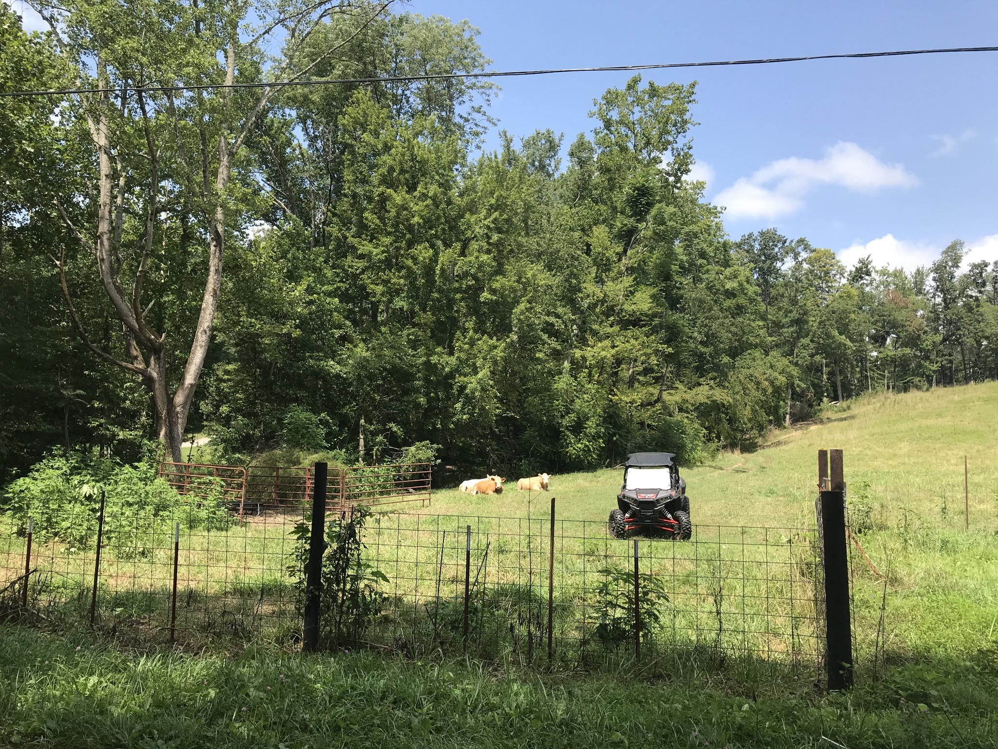 1 Pea Ridge Road Liberty, TN 37095 - Photo 13 of 22 a view of lake view