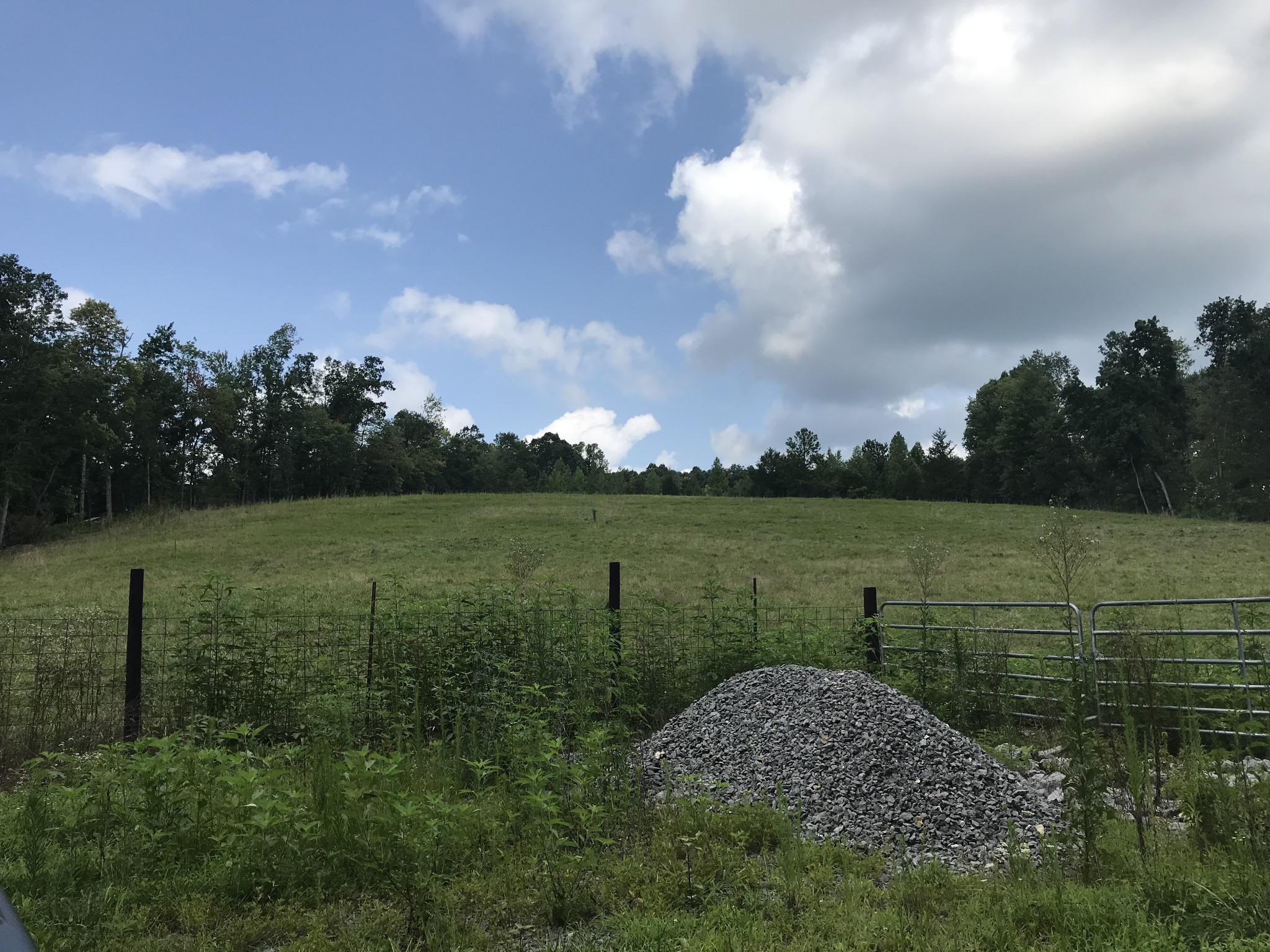 1 Pea Ridge Road Liberty, TN 37095 - Photo 3 of 22 a view of a lake from a yard