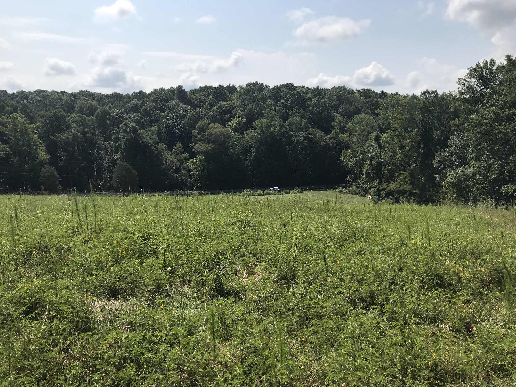1 Pea Ridge Road Liberty, TN 37095 - Photo 6 of 22 a view of an outdoor space with a lake view