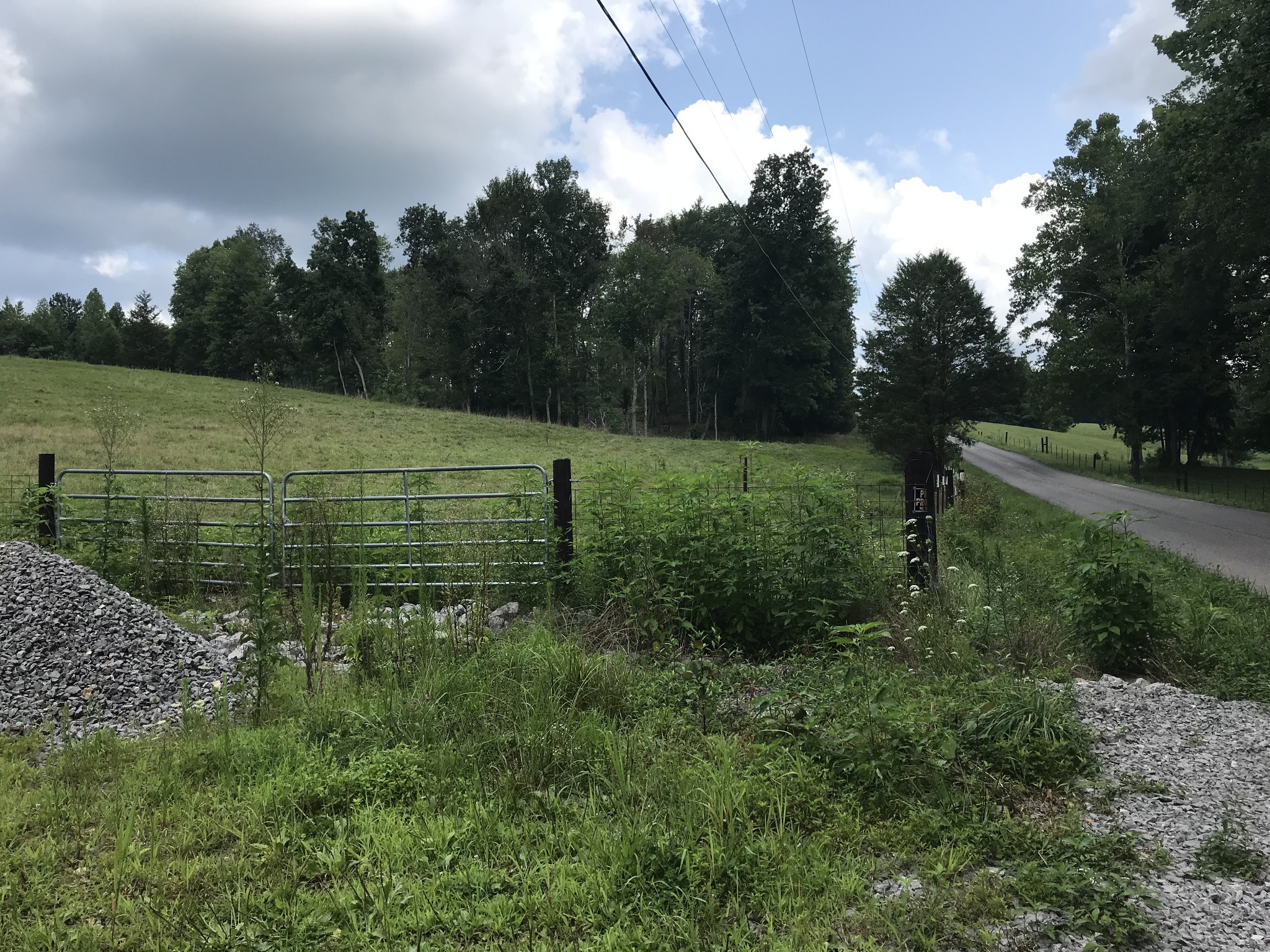 1 Pea Ridge Road Liberty, TN 37095 - Photo 7 of 22 a large green field with lots of green space and fog