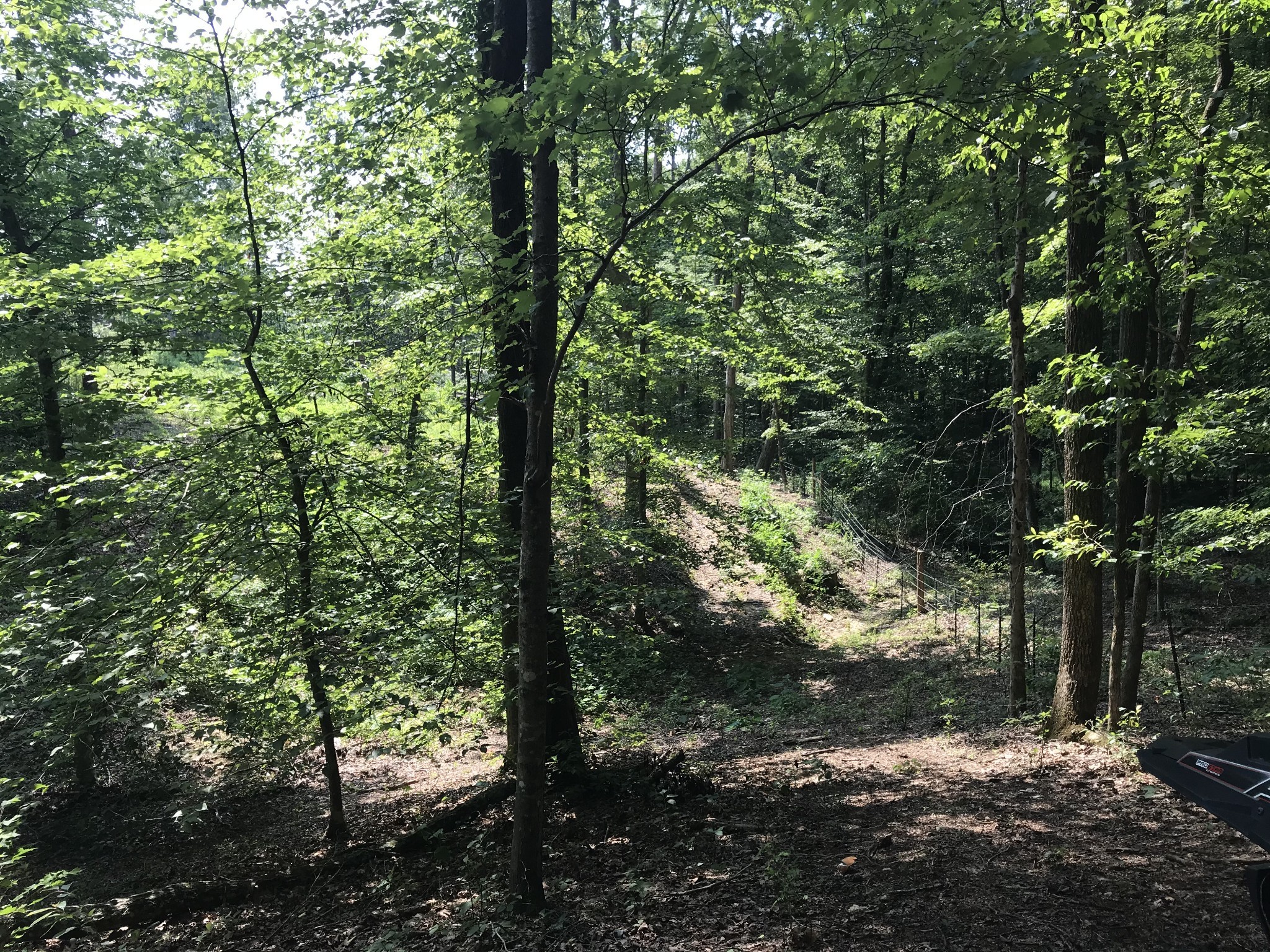 1 Pea Ridge Road Liberty, TN 37095 - Photo 8 of 22 a view of forest