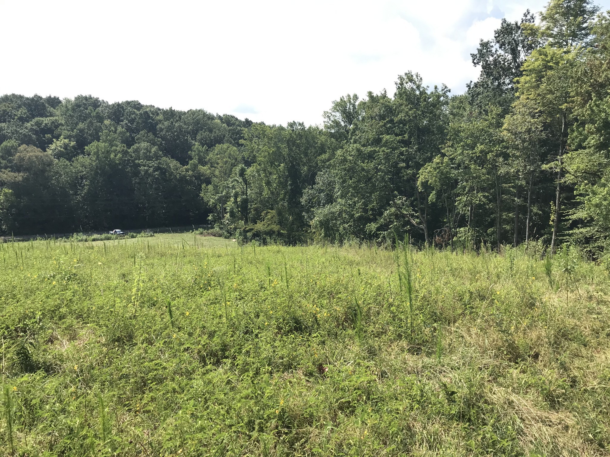 1 Pea Ridge Road Liberty, TN 37095 - Photo 9 of 22 a view of outdoor space with green field and trees all around