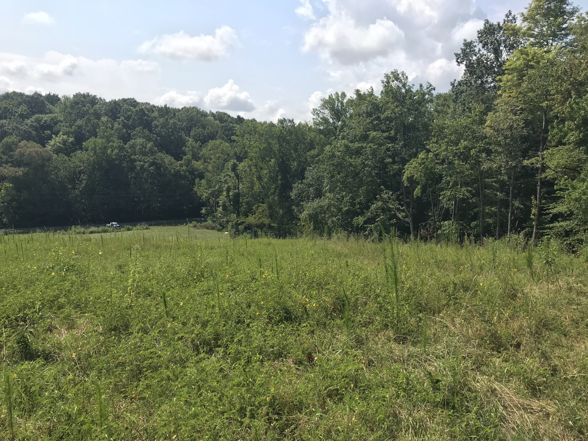 1 Pea Ridge Road Liberty, TN 37095 - Photo 10 of 22 a view of outdoor space with green field and trees all around