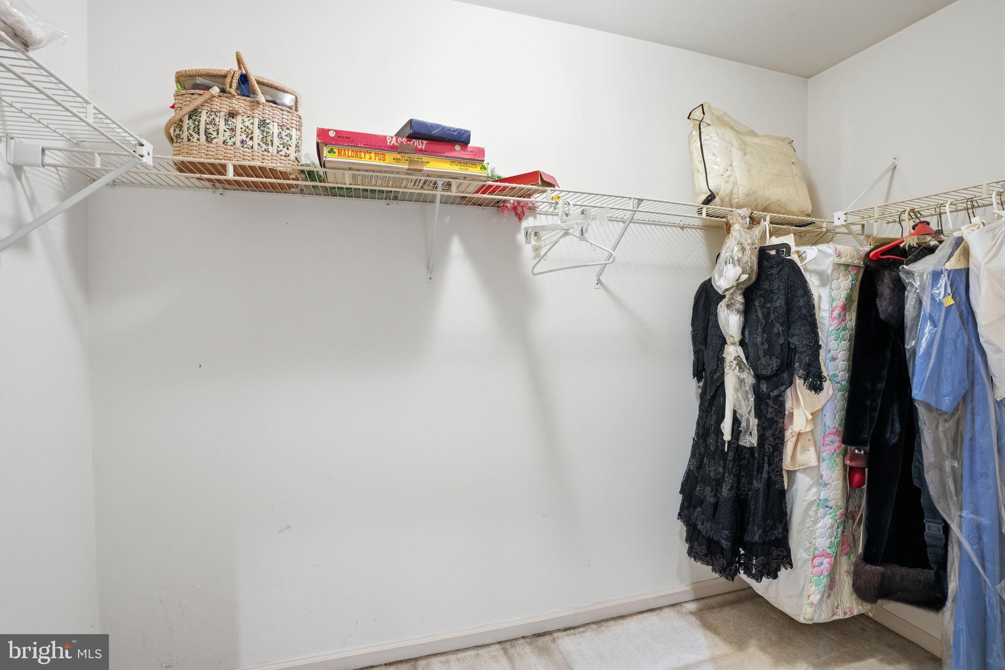 937 High Pointe Circle Langhorne, PA 19047 - Photo 23 of 47 a close view of walk in closet