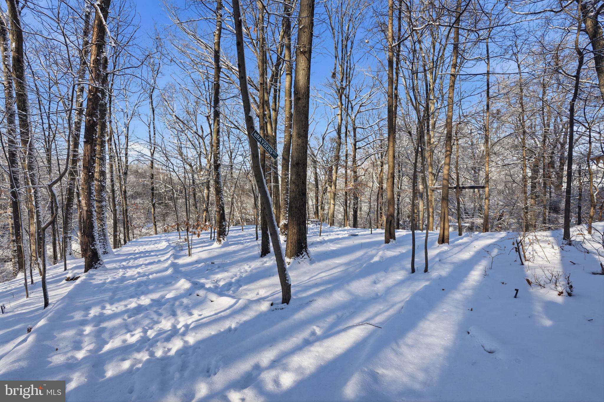 937 High Pointe Circle Langhorne, PA 19047 - Photo 36 of 47 a street view with large trees