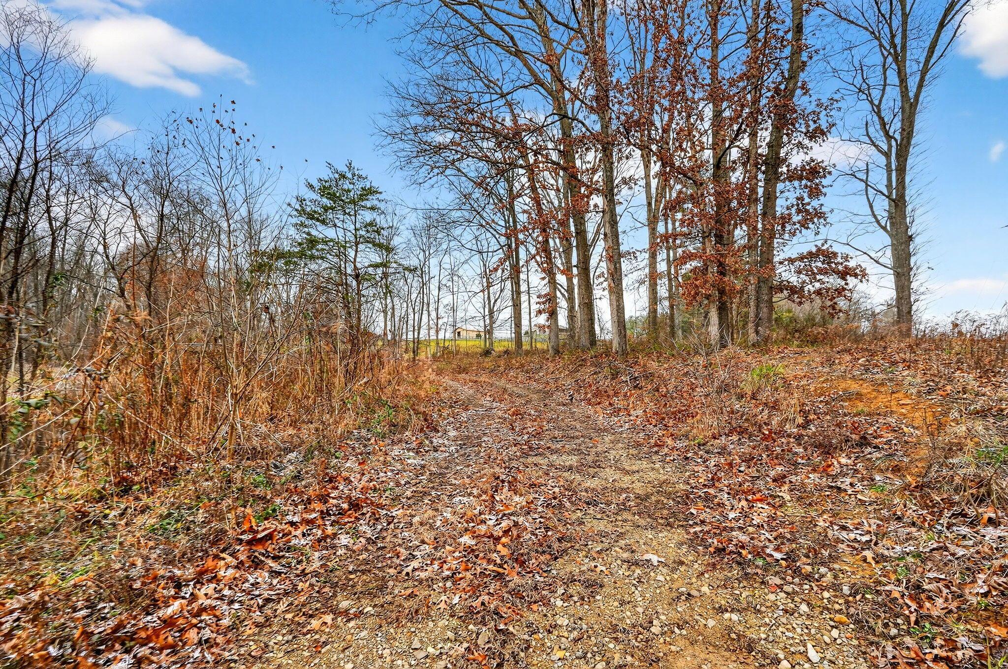 3133 4 Mile Road Jackson, OH 45640 - Photo 7 of 40 6. 3133 Four Mile Rd 40