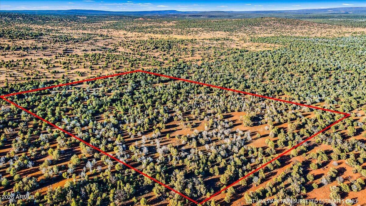 8602 North Ten Tanks Road, Unit 157 Williams, AZ 86046 - Photo 1 of 5 02-Aerial