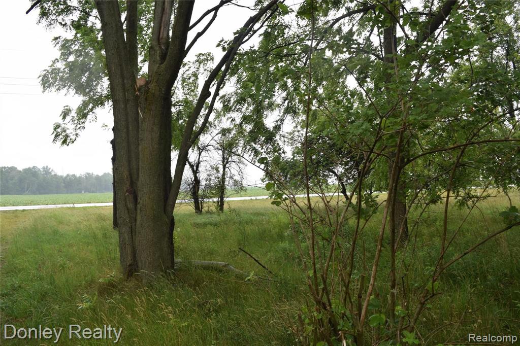 2179 Decker Road Decker, MI 48426 - Photo 24 of 28