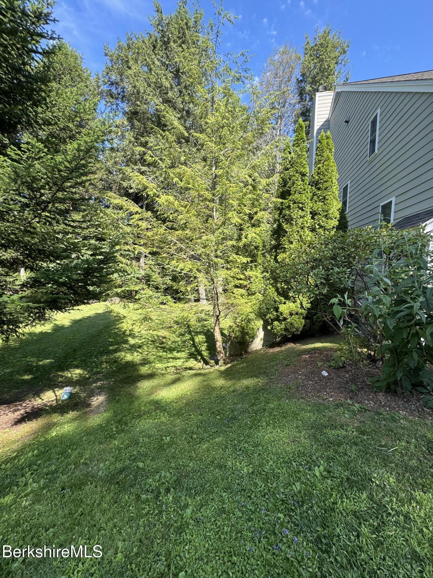 37 Corey Road, Unit 9061 Hancock, MA 01237 - Photo 4 of 29 a view of yard with green space