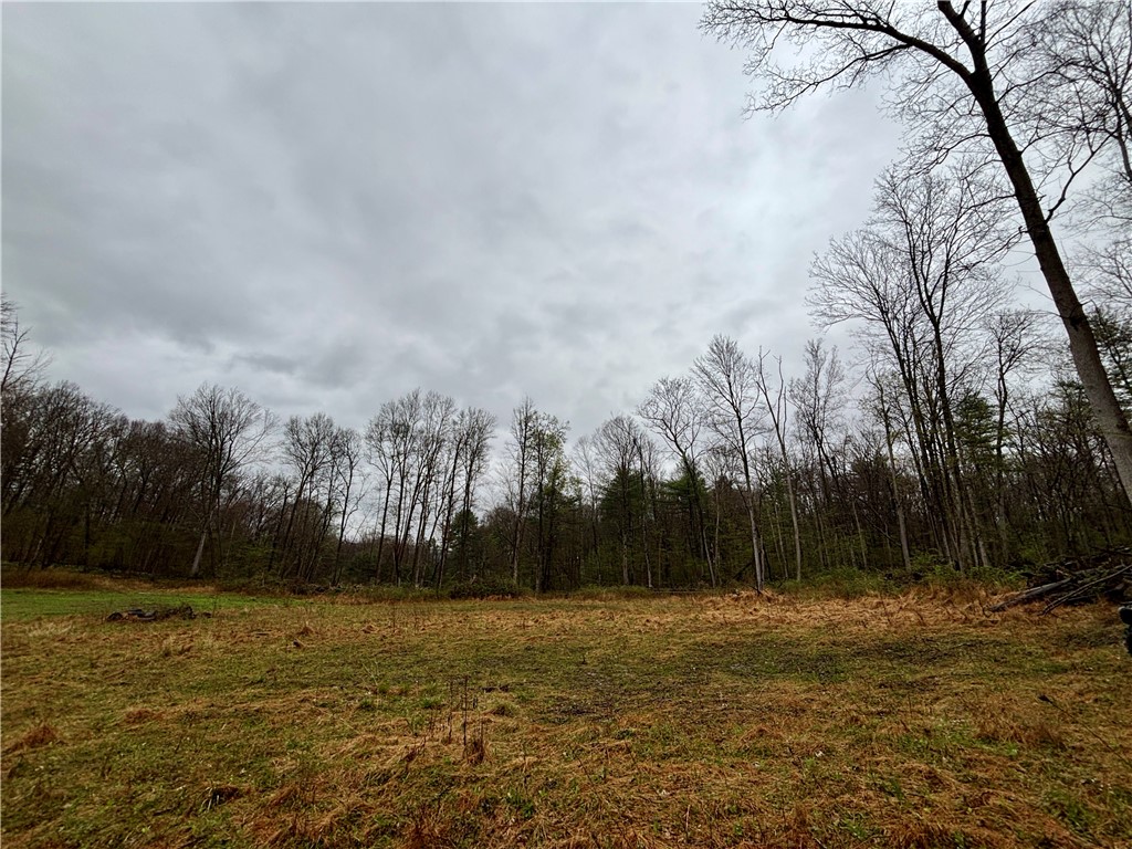 2093 Scott Road Erwin, NY 14858 - Photo 22 of 36 Gallery Image 22