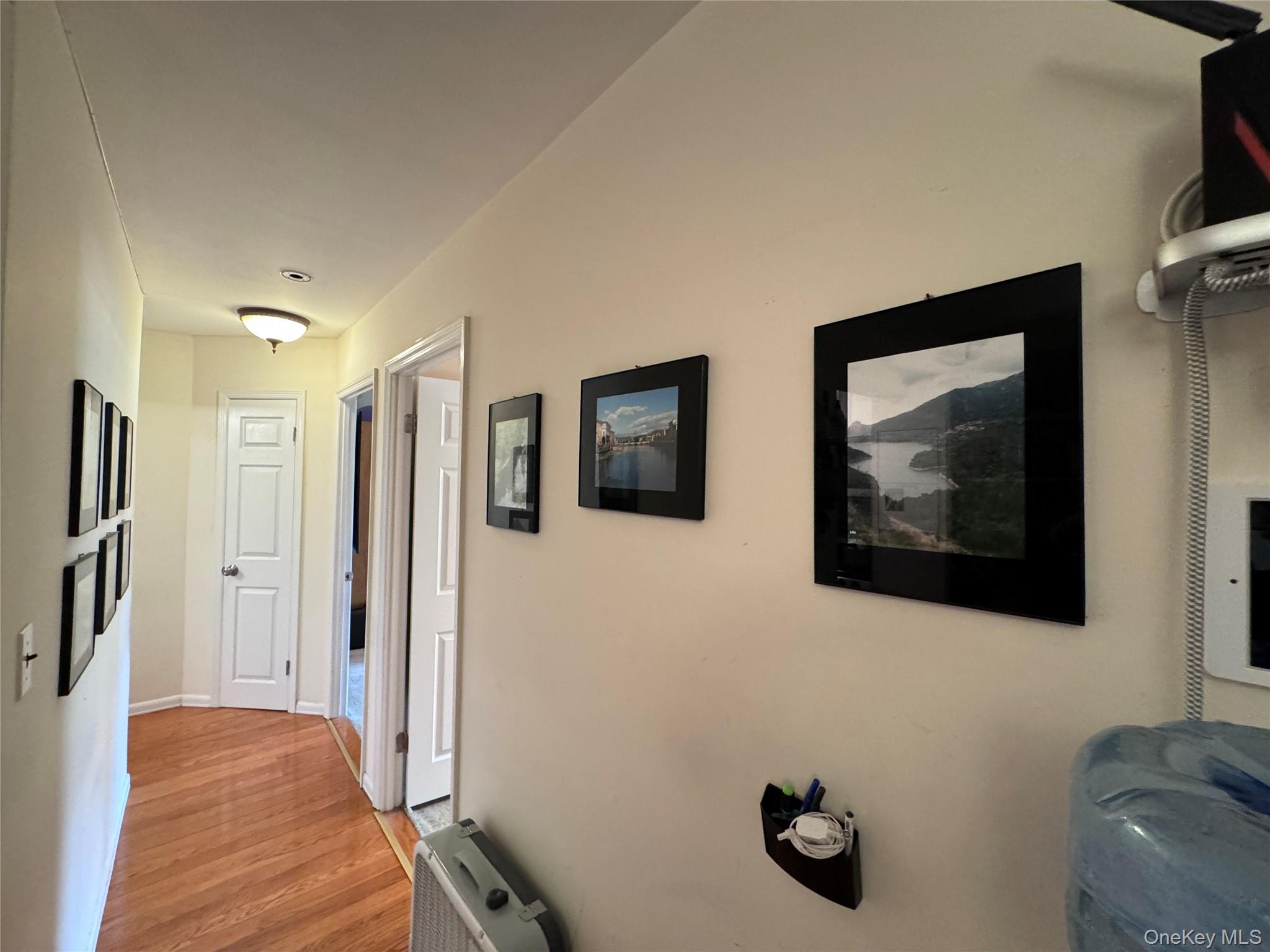 46-12 161 Street, Unit 2C Queens, NY 11358 - Photo 7 of 9 Hall with light wood-style flooring