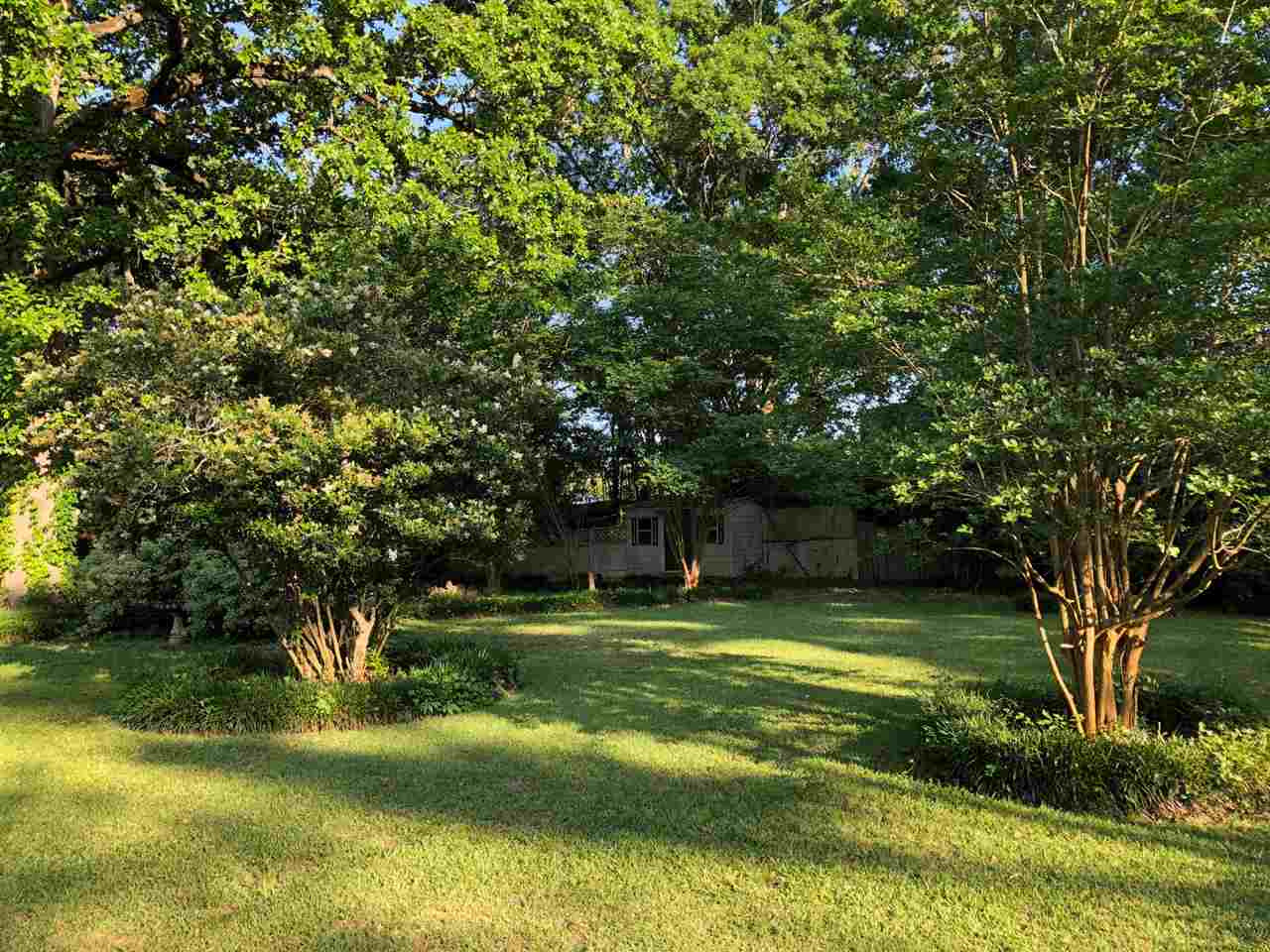 3449 Old Brandon Road Pearl, MS 39208 - Photo 3 of 42 Photo 3