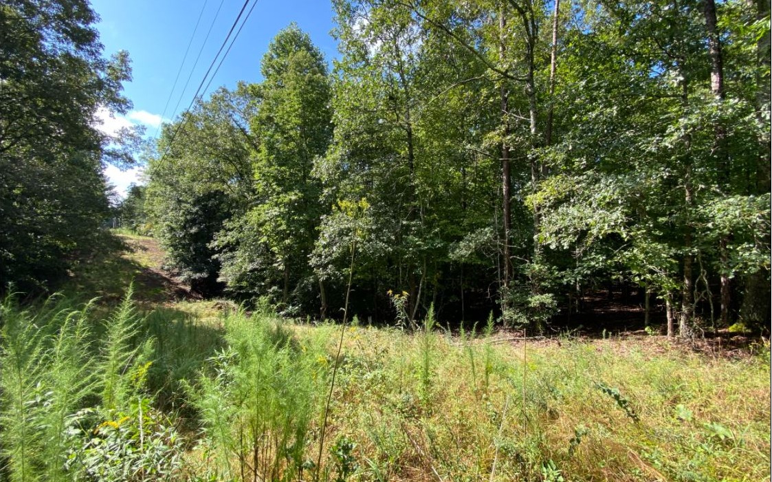 565 Dotson Road Murphy, NC 28906 - Photo 4 of 4 Additional View