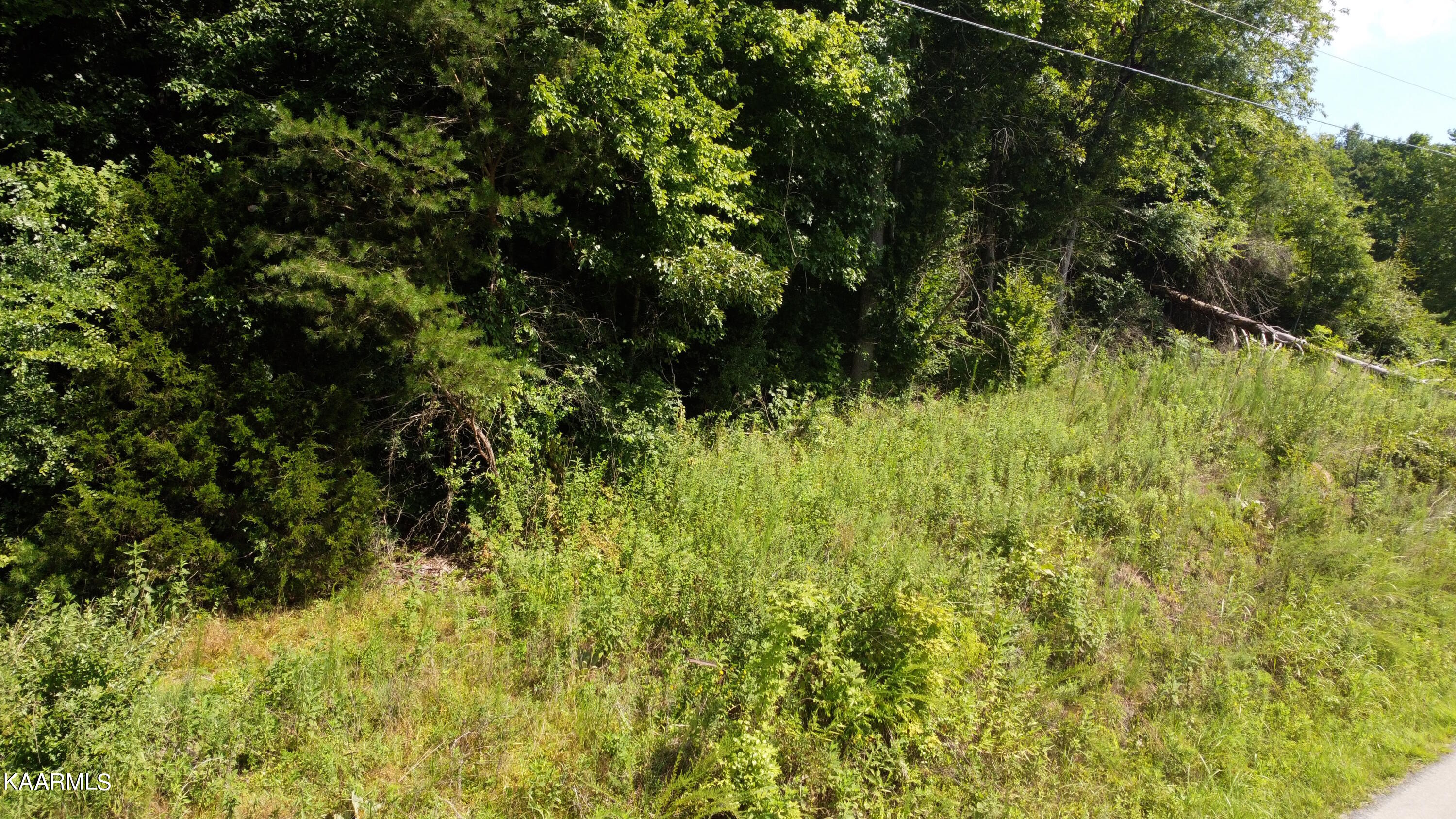 Jordan Road Decatur, TN 37322 - Photo 3 of 8 2-3