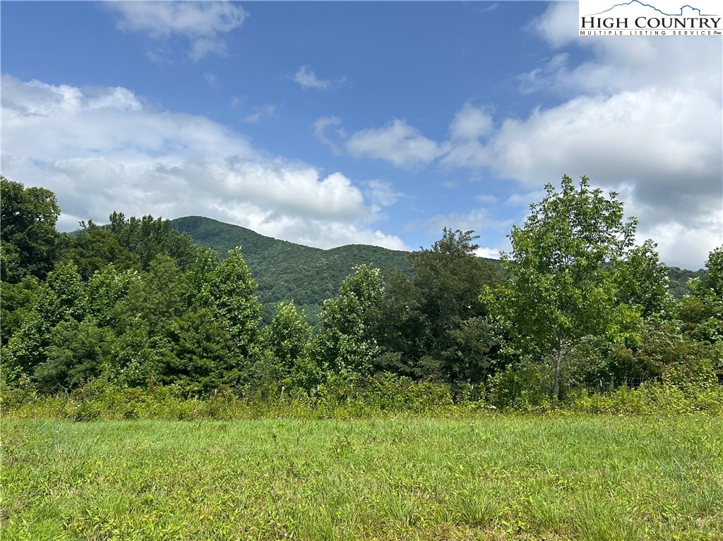 840 Ed Williams Road Vilas, NC 28692 - Photo 24 of 50