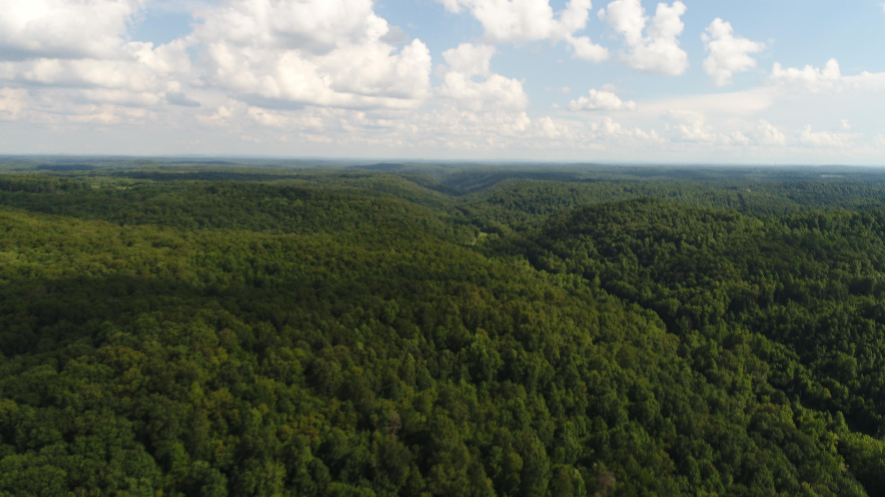 738 Acorn-Ano Road Somerset, KY 42501 - Photo 12 of 39 DJI_0178