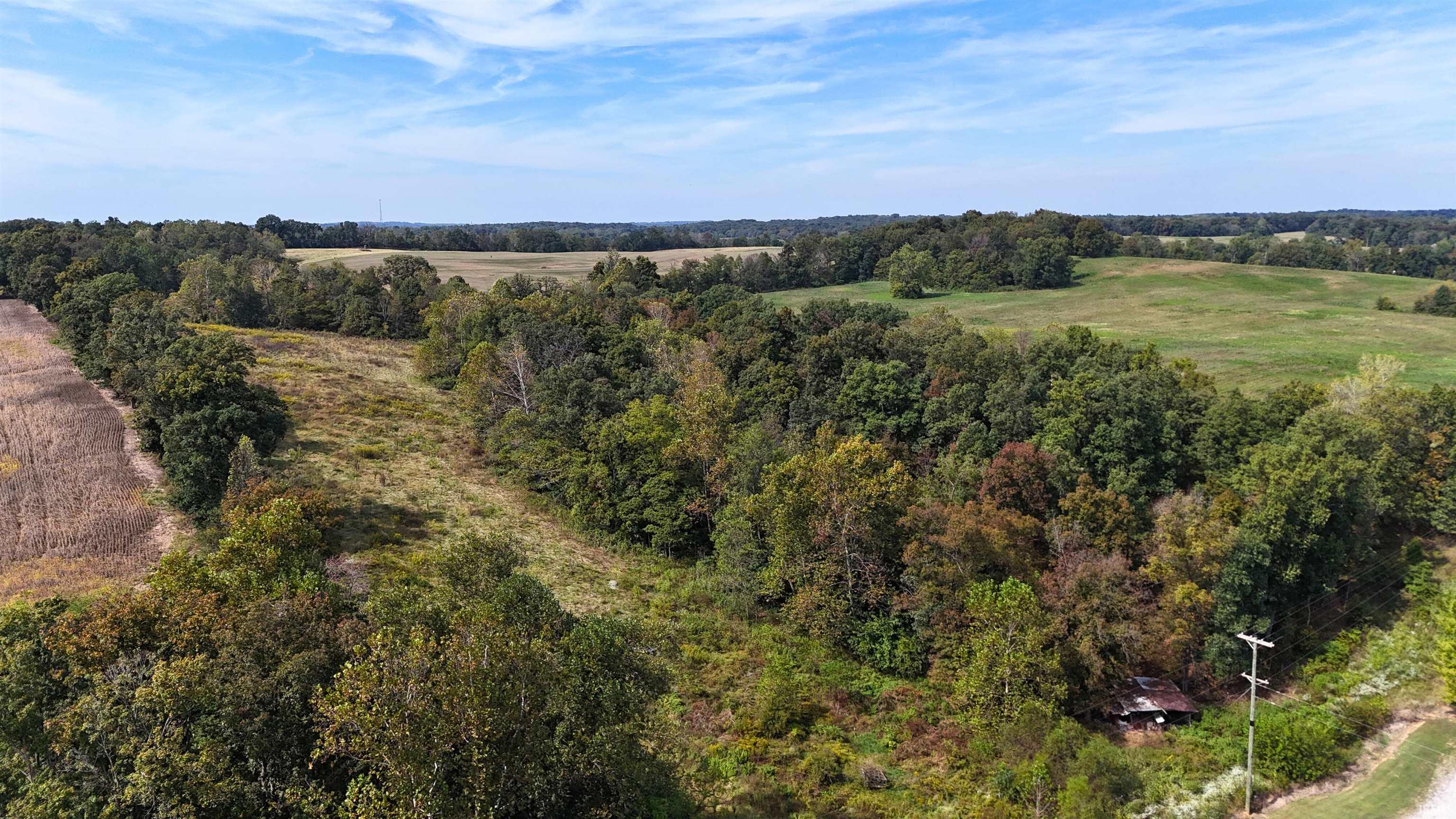 17-acres Ziegler Road Loogootee, IN 47553 - Photo 13 of 16