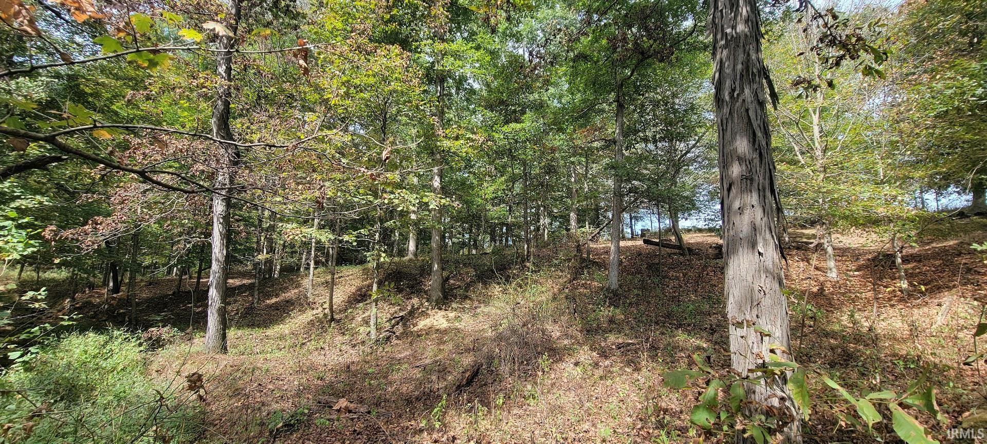 17-acres Ziegler Road Loogootee, IN 47553 - Photo 4 of 16