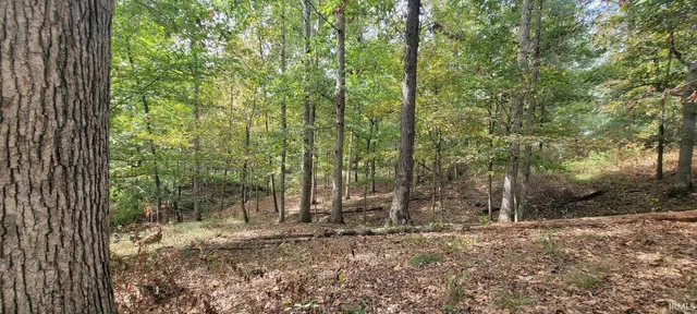$175,000 | 17-acres Ziegler Road, Loogootee, IN 47553