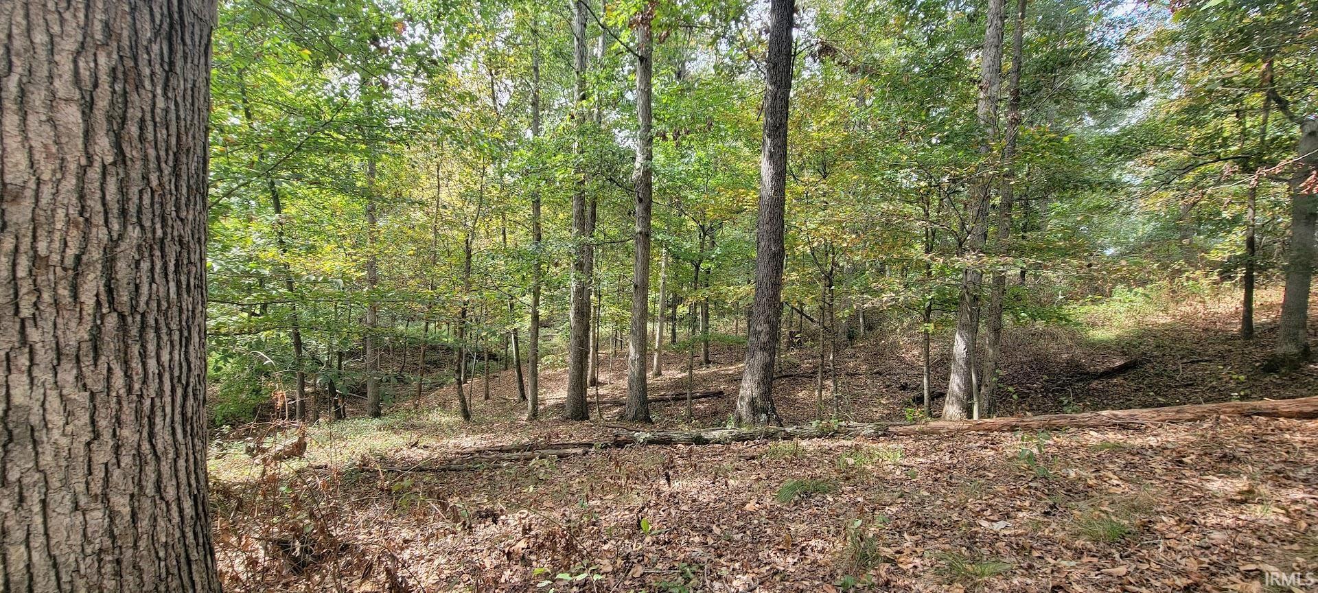 17-acres Ziegler Road Loogootee, IN 47553 - Photo 6 of 16