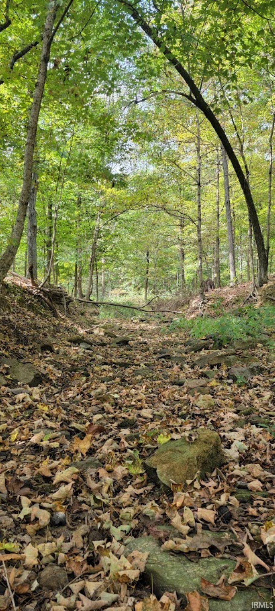 17-acres Ziegler Road Loogootee, IN 47553 - Photo 7 of 16