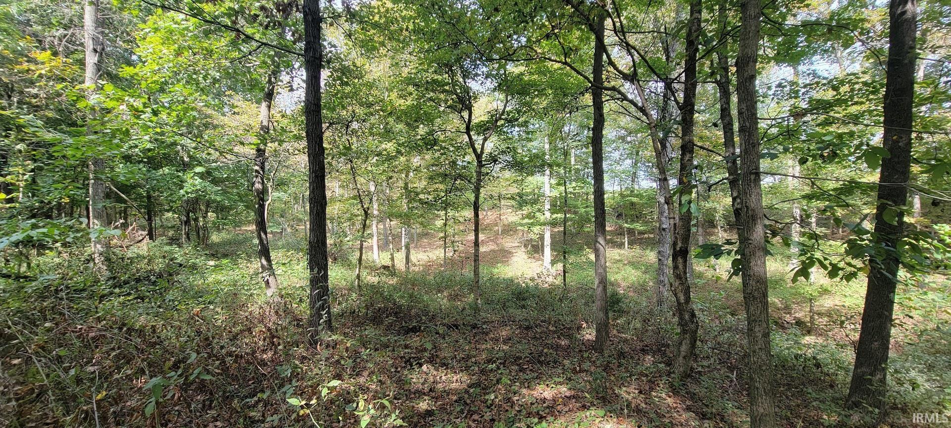 17-acres Ziegler Road Loogootee, IN 47553 - Photo 8 of 16