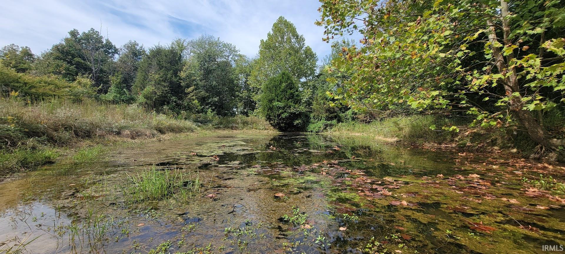 17-acres Ziegler Road Loogootee, IN 47553 - Photo 9 of 16