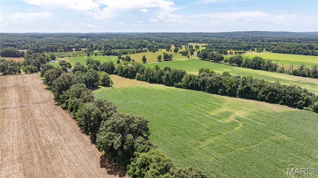 9480 Battleford Road Stonefort, IL 62987 - Photo 13 of 54