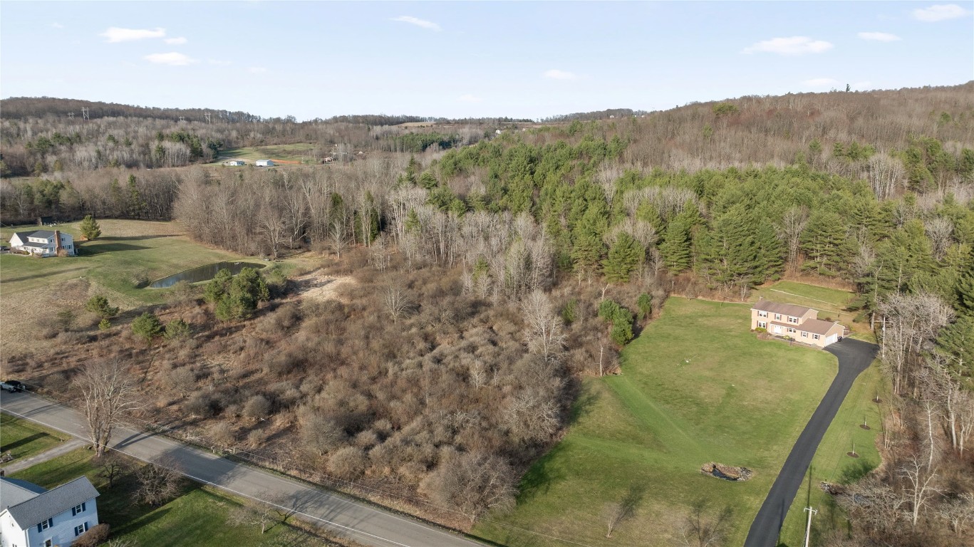 0 Foster Valley Road Owego, NY 13827 - Photo 4 of 11 Gallery Image 4