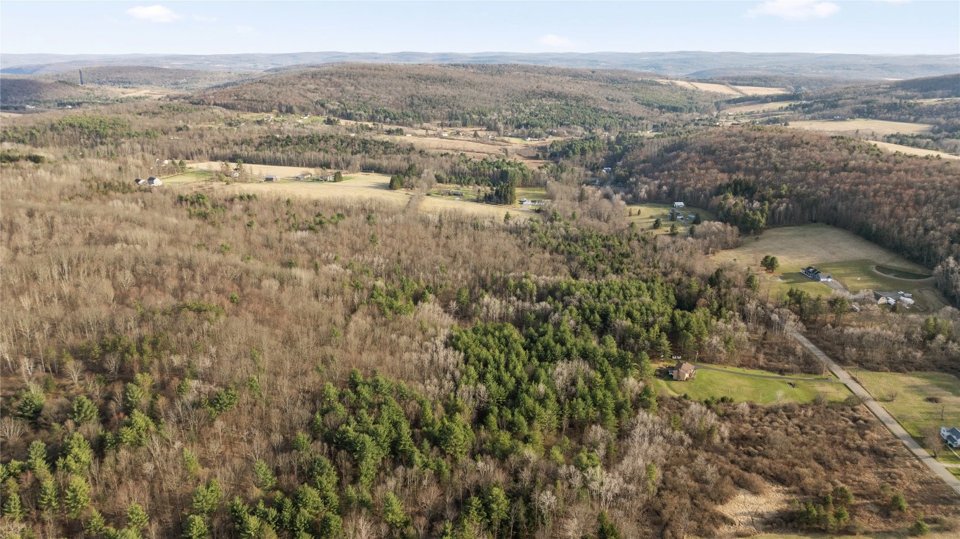 0 Foster Valley Road Owego, NY 13827 - Photo 6 of 11 Gallery Image 6