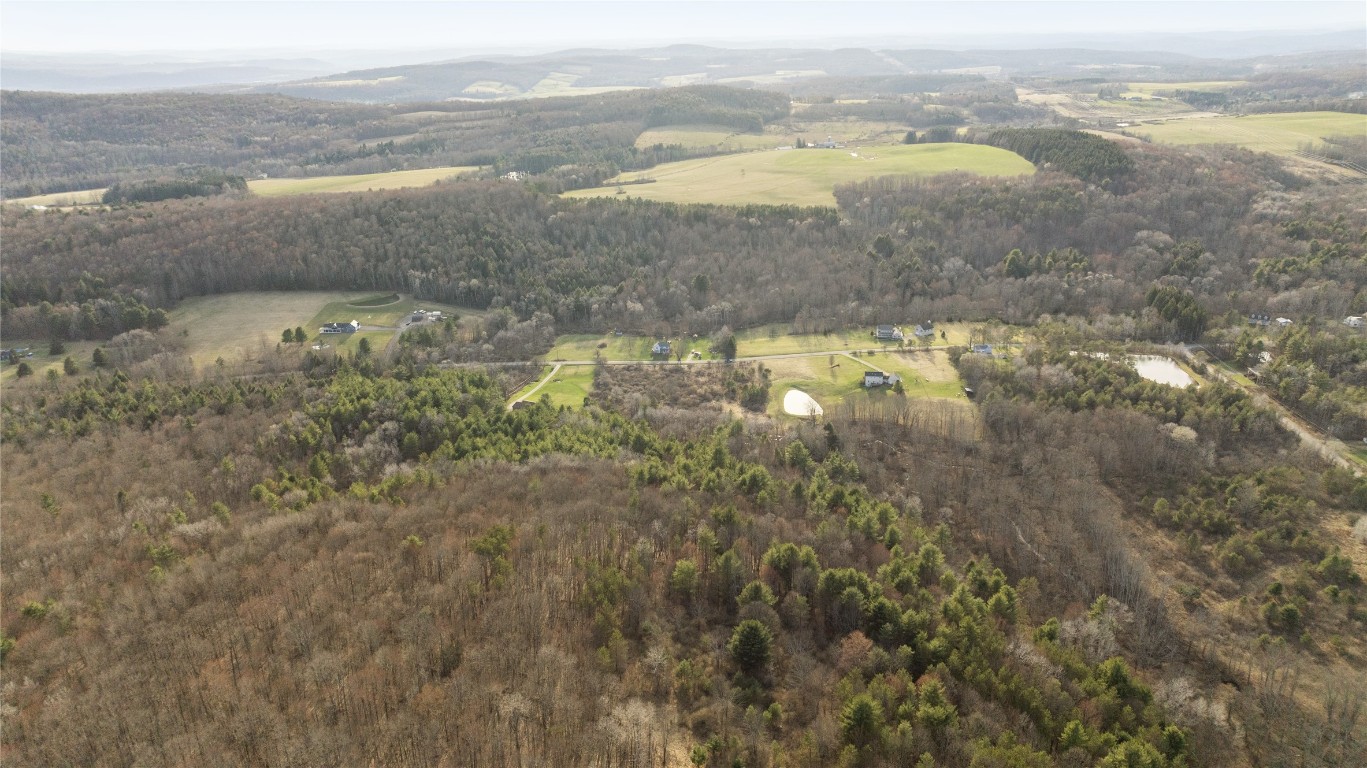 0 Foster Valley Road Owego, NY 13827 - Photo 8 of 11 Gallery Image 8