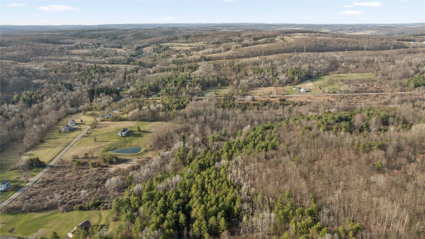 0 Foster Valley Road Owego, NY 13827 - Photo 10 of 11 Gallery Image 10