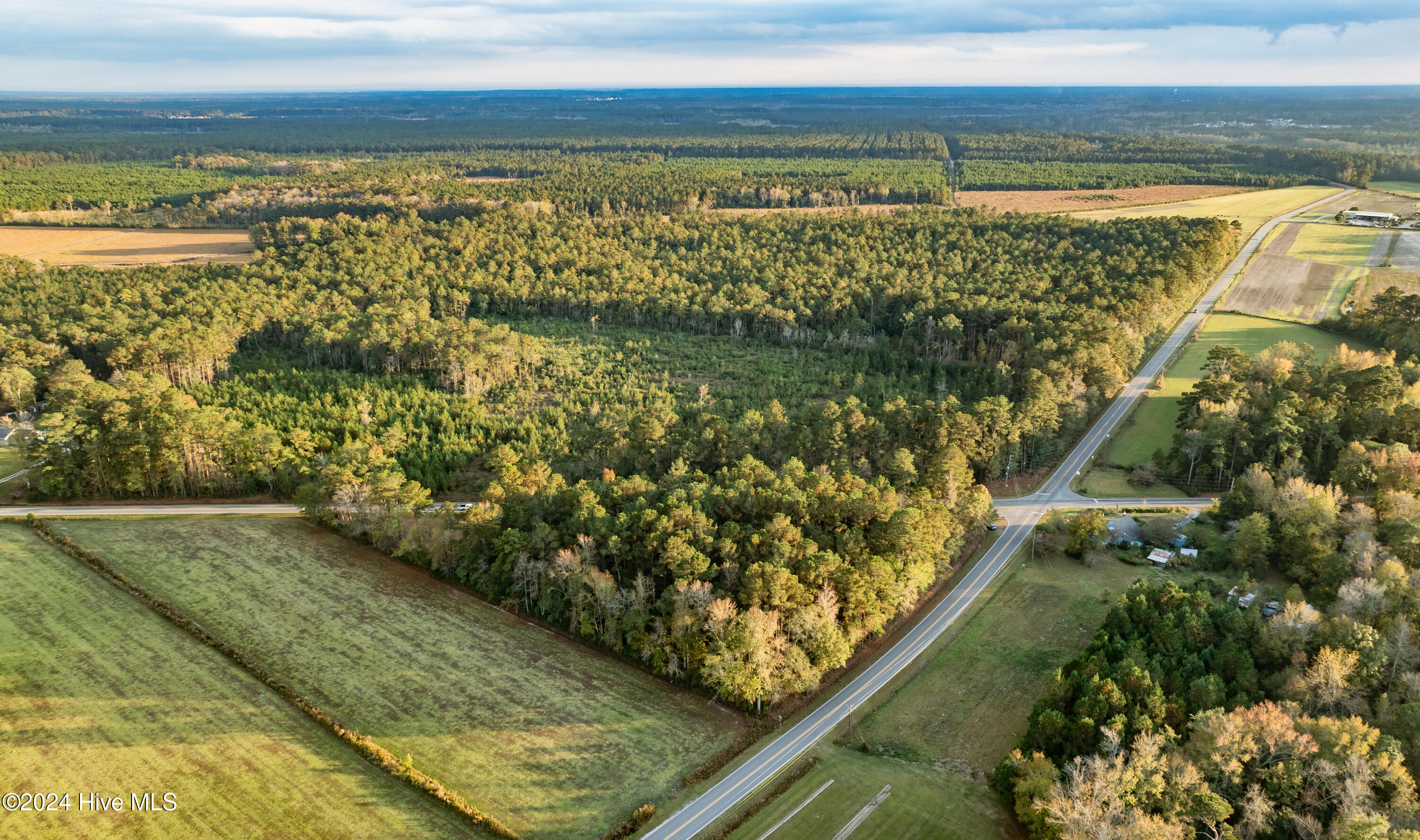 Tbd Tbd Riggs Road Maysville, NC 28555 - Photo 11 of 20 DJI_0281