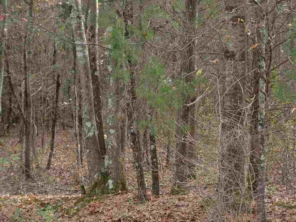 0 Bragg Road, Unit LOT 5 Woodruff, SC 29388 - Photo 3 of 5 Gallery Image 3