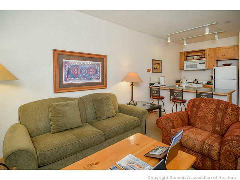 195 River Run Road, Unit 8045 Keystone, CO 80435 - Photo 3 of 15 a living room with furniture a couch and a potted plant